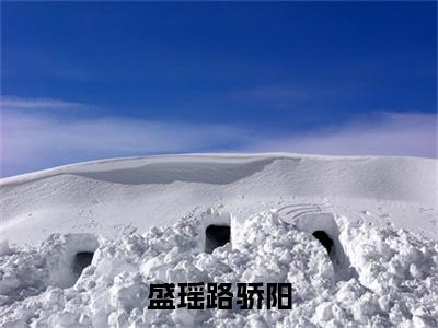 盛瑶路骄阳（盛瑶路骄阳）免费阅读完整版-（盛瑶路骄阳小说）盛瑶路骄阳全文大结局已完结