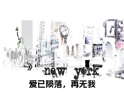 爱已陨落，再无我免费小说-爱已陨落，再无我完结版在线阅读