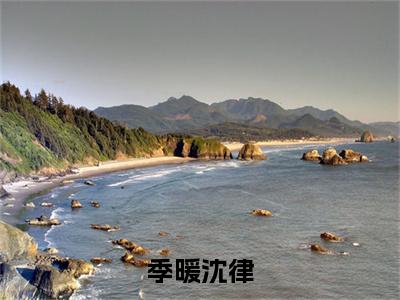 季暖沈律免费小说-季暖沈律完结版在线阅读