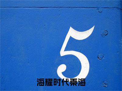 （海耀时代秦海）最新免费小说大结局-小说海耀时代秦海秦海全文免费在线阅读