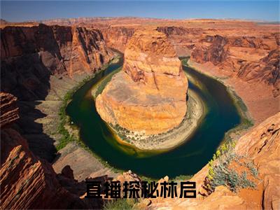 直播探秘林启（林启）最火婚恋小说-（林启）全文免费阅读笔趣阁