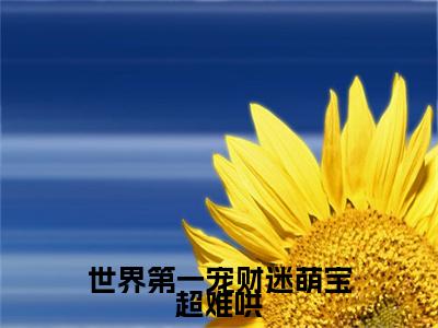 秦南御纪微甜（世界第一宠财迷萌宝超难哄）最新章节在线阅读抖音新书热荐世界第一宠财迷萌宝超难哄