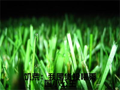 （饥荒：我囤货投喂秦国小公主）全文免费阅读无弹窗大结局_（陈阿平）章节列表_笔趣阁