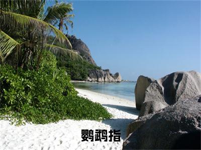 陈云秀赵本沫鹦鹉指免费阅读无弹窗小说陈云秀赵本沫最新章节