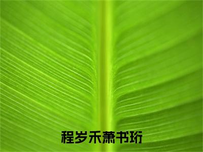 程岁禾萧书珩免费阅读无弹窗，小说萧书珩程岁禾大结局全文免费阅读