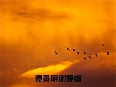 谭景明谢静娴小说全文免费阅读无弹窗大结局_谭景明谢静娴谢静娴谭景明最新章节列表_笔趣阁（谭景明谢静娴）