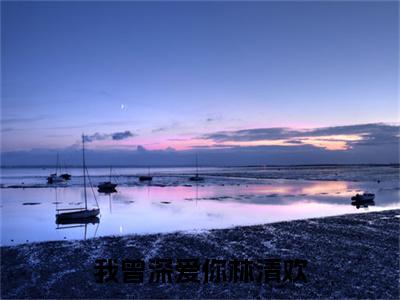 傅寒年林清欢小说在线阅读（我曾深爱你林清欢）全文免费阅读无弹窗大结局_傅寒年林清欢小说免费最新章节列表