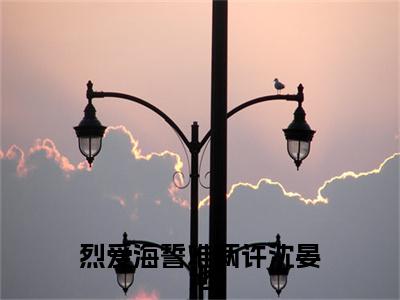 陆沐瑾沈晏池免费阅读（烈爱海誓难两许沈晏池）全文免费阅读无弹窗大结局_陆沐瑾沈晏池免费阅读最新章节列表