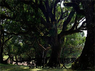 花夕眠（快穿沦陷：恶毒炮灰她娇软又撩人）新上热文免费阅读-花夕眠（快穿沦陷：恶毒炮灰她娇软又撩人）无广告在线阅读
