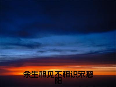 主角是蒋书屹宋慈阳的小说-余生相见不相识宋慈阳全文无弹窗免费阅读