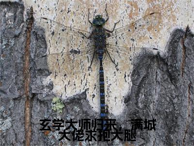 温风萤萧青时人气小说玄学大师归来，满城大佬求抱大腿创在线阅读-正版小说《玄学大师归来，满城大佬求抱大腿》温风萤萧青时全文阅读