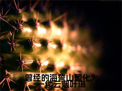 叶琳（完整版）小说推荐-叶琳热文小说曾经的海誓山盟化为一缕云烟叶琳免费阅读全文