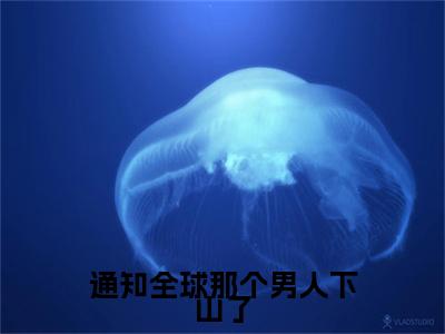 顾言全文免费阅读无弹窗大结局_（通知全球那个男人下山了小说）顾言最新章节列表笔趣阁（通知全球那个男人下山了）