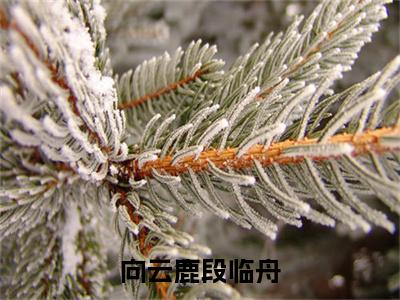 向云鹿段临舟（向云鹿段临舟）全文免费阅读无弹窗_向云鹿段临舟小说_笔趣阁