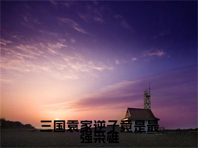 袁熙小说（三国袁家逆子竟是最强枭雄）免费阅读-三国袁家逆子竟是最强枭雄（袁熙）全章节最新阅读