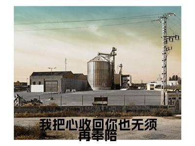 我把心收回你也无须再奉陪全文免费阅读无弹窗大结局，林轻轻小说最新章节
