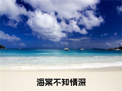 海棠不知情深（季云深宁晚姝）全文无弹窗大结局_海棠不知情深在线阅读无弹窗最新章节列表_笔趣阁