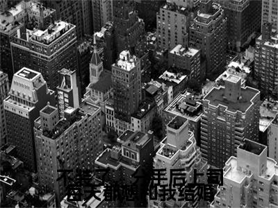 小说不装了，分手后上司每天都想和我结婚在线阅读-正版小说《沈斯言凃婳》不装了，分手后上司每天都想和我结婚全文阅读