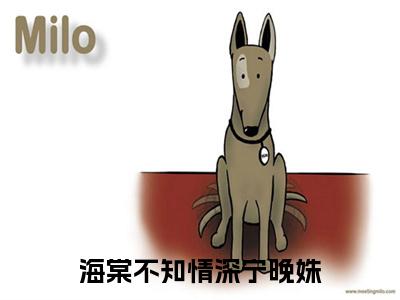 季云深宁晚姝小说（海棠不知情深宁晚姝）全文免费阅读_（海棠不知情深宁晚姝）季云深宁晚姝小说最新章节列表