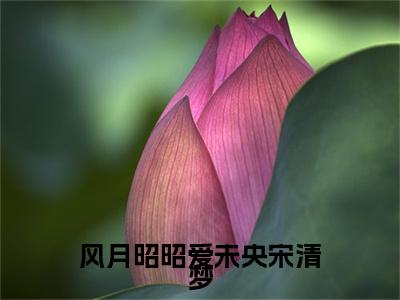 霍修辰宋清梦苏成宴（风月昭昭爱未央宋清梦）全文免费阅读无弹窗大结局_（风月昭昭爱未央宋清梦无弹窗）全文完整版免费阅读