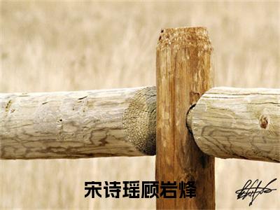 顾岩烽宋诗瑶免费小说（宋诗瑶顾岩烽）全文无弹窗阅读顾岩烽宋诗瑶大结局免费阅读无弹窗