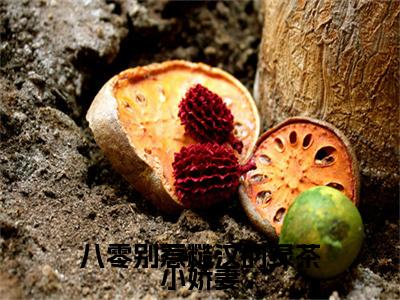 八零别惹糙汉的绿茶小娇妻（江莹莹）小说全文免费阅读-江莹莹小说最新章节完整版