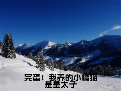 林岁宁李玄泽（完蛋！我养的小橘猫是皇太子）全文免费阅读无弹窗大结局_完蛋！我养的小橘猫是皇太子最新章节列表_笔趣阁（林岁宁李玄泽）
