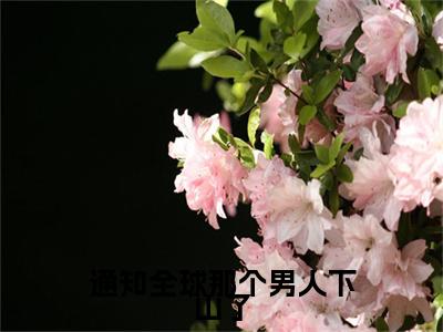 通知全球那个男人下山了（顾言）全文免费阅读无弹窗大结局_（顾言）小说免费阅读最新章节列表