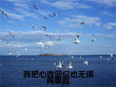 林轻轻（我把心收回你也无须再奉陪）全文免费阅读_林轻轻（我把心收回你也无须再奉陪）免费在线阅读_笔趣阁