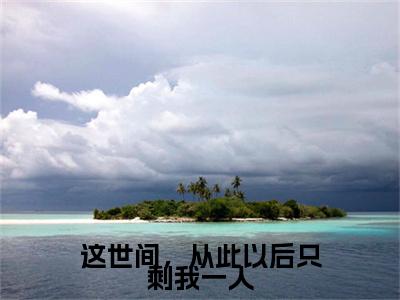 这世间，从此以后只剩我一人（沈知星段渠）小说全文免费阅读无弹窗_（沈知星段渠全文阅读）这世间，从此以后只剩我一人免费阅读大结局