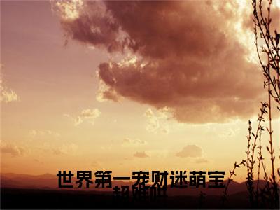 秦南御纪微甜（秦南御纪微甜）全文免费阅读无弹窗_世界第一宠财迷萌宝超难哄全文免费阅读最新章节大结局