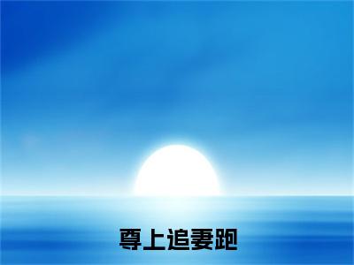 尊上追妻跑（尊上追妻跑）小说在线阅读_尊上追妻跑全本免费小说阅读（诸葛七七）
