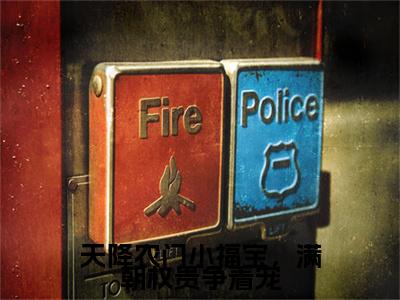 天降农门小福宝，满朝权贵争着宠小说全文免费阅读无弹窗，（云倾羽秦夭夭）小说全文免费阅读