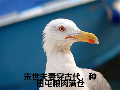 末世夫妻穿古代，种田屯粮肉满仓（萧砚姜宁宁）全文免费阅读_末世夫妻穿古代，种田屯粮肉满仓最新章节列表言情小说在线阅读