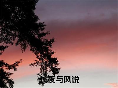 长夜与风说（舒时吟萧君宴）小说全文免费阅读大结局-长夜与风说免费阅读无弹窗大结局