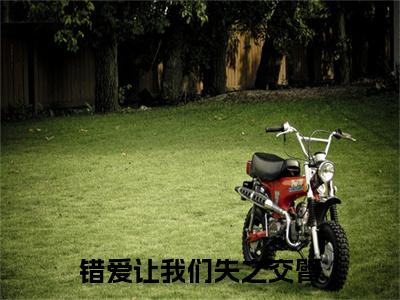 （霍景明沈轻语）错爱让我们失之交臂全文免费阅读无弹窗大结局_霍景明沈轻语（错爱让我们失之交臂）小说结局免费阅读