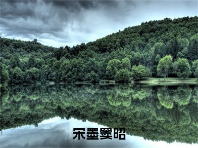 宋墨窦昭（宋墨窦昭）完整版小说阅读_宋墨窦昭全文免费阅读最新章节列表_笔趣阁