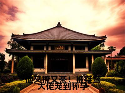 他又撩又茶！被桀骜大佬宠到怀孕（谢京墨虞之琬全文在线阅读）-他又撩又茶！被桀骜大佬宠到怀孕免费阅读