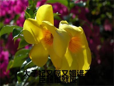梁晏和周晚棠太子妃又疯又媚谁不臣服谁就废小说在哪里可以看太子妃又疯又媚谁不臣服谁就废免费在线阅读