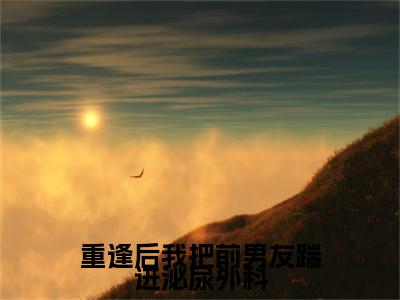 重逢后我把前男友踹进泌尿外科（沈景霄苏青橙小说）全文免费阅读无弹窗大结局_沈景霄苏青橙小说免费阅读最新章节列表