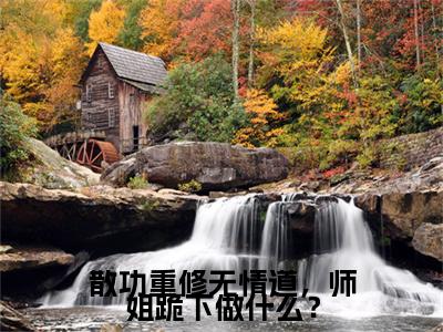 散功重修无情道，师姐跪下做什么？（齐霄）小说免费阅读在线阅读_散功重修无情道，师姐跪下做什么？全文免费阅读_笔趣阁
