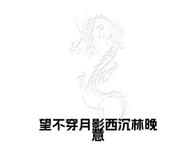 望不穿月影西沉林晚意（顾南辰林晚意）完结版小说-望不穿月影西沉林晚意小说全文免费阅读笔趣阁