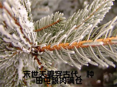 末世夫妻穿古代，种田屯粮肉满仓（萧砚姜宁宁）全文免费阅读无弹窗大结局_萧砚姜宁宁（末世夫妻穿古代，种田屯粮肉满仓最新章节在线阅读）_笔趣阁