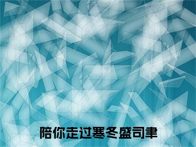 陪你走过寒冬盛司聿（安以夏盛司聿）全文无弹窗阅读-陪你走过寒冬盛司聿（安以夏盛司聿）最新章节完整版阅读