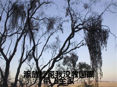 流放抄家我没收国库带飞全家全文无弹窗阅读林汐研大结局全文免费