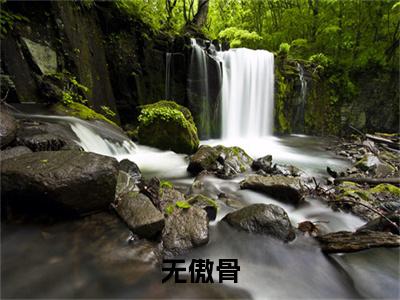 《陆凛节乔意》无傲骨（热推新书）-抖音热推无傲骨无弹窗阅读