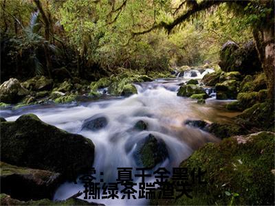 （八零：真千金黑化，撕绿茶踹渣夫）完整版小说阅读，傅立业纪晓月小说精彩免费试读