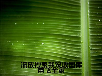 流放抄家我没收国库带飞全家小说全文免费阅读-（林汐研）抖音新书热荐流放抄家我没收国库带飞全家全文免费阅读