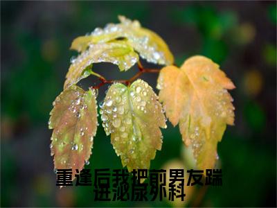 重逢后我把前男友踹进泌尿外科（沈景霄苏青橙）小说全文免费阅读无弹窗大结局_重逢后我把前男友踹进泌尿外科小说免费阅读最新章节列表笔趣阁（沈景霄苏青橙）