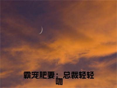 沈芸夏免费版最新更新阅读-霸宠肥妻：总裁轻轻吻小说全文在线阅读